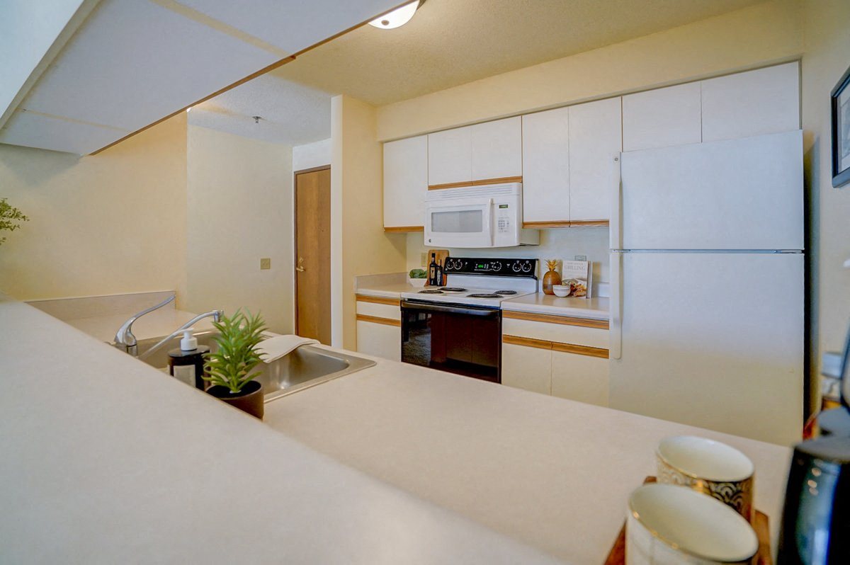 Gallery Photo 24